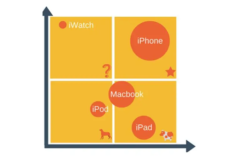 ماتریس bcg چیست