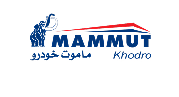 پیاده سازی CRM در ماموت خودرو